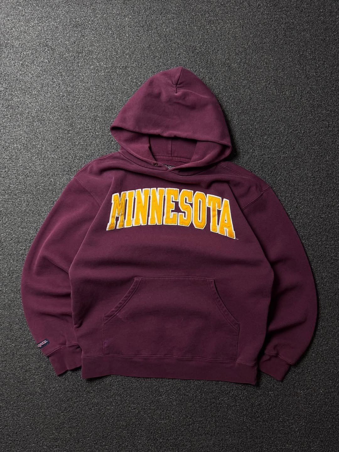 JanSport "Minessota" Hoodie (M)